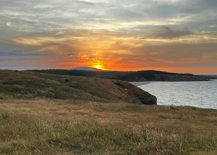 Lеvandi * Sinemoretz